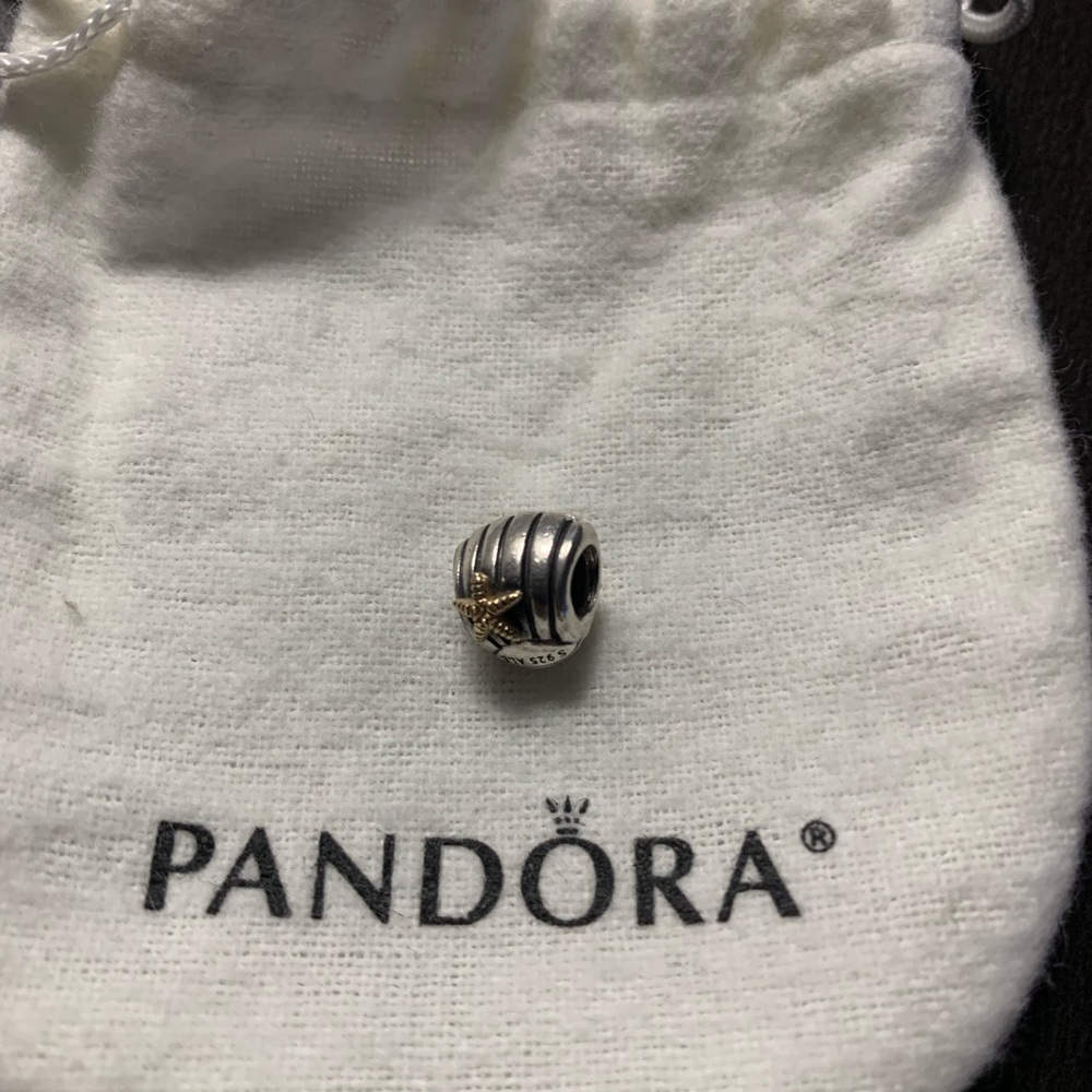 Authentic pandora charm
